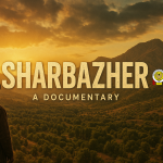 Come and Watch the Story of the Cyclone